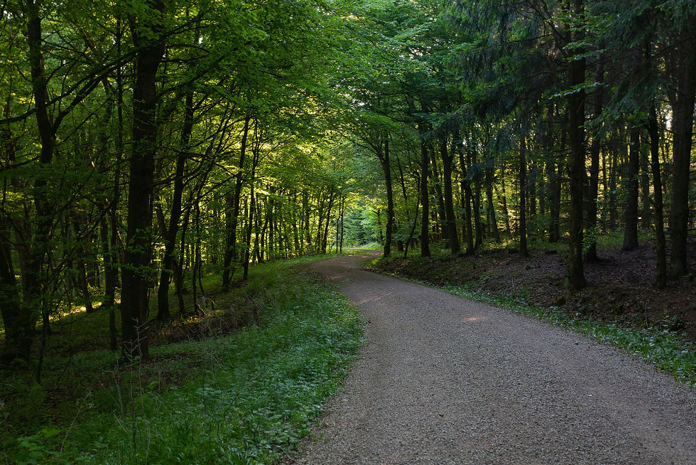 Top 10 des actifs de luxe pour une optimisation fiscale - Monsieur Lifestyle Magazine