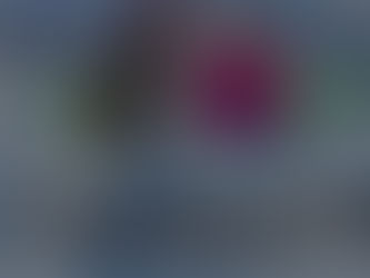 Il Perugia perde anche Antonietta Lucertini, abbonata degli anni d'oro del Grifo. | R.I.P. TONINA