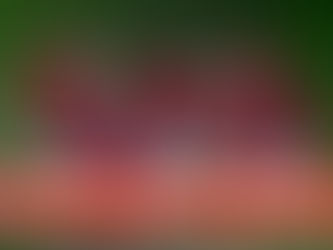 Il grifo vince e ne fa 3; Mattia Minesso deve giocare più spesso!!!