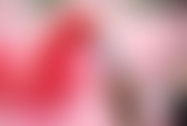 Il Pagellone del Grifone: Ravenna 0-3 Perugia | Rosi miglior Grifone