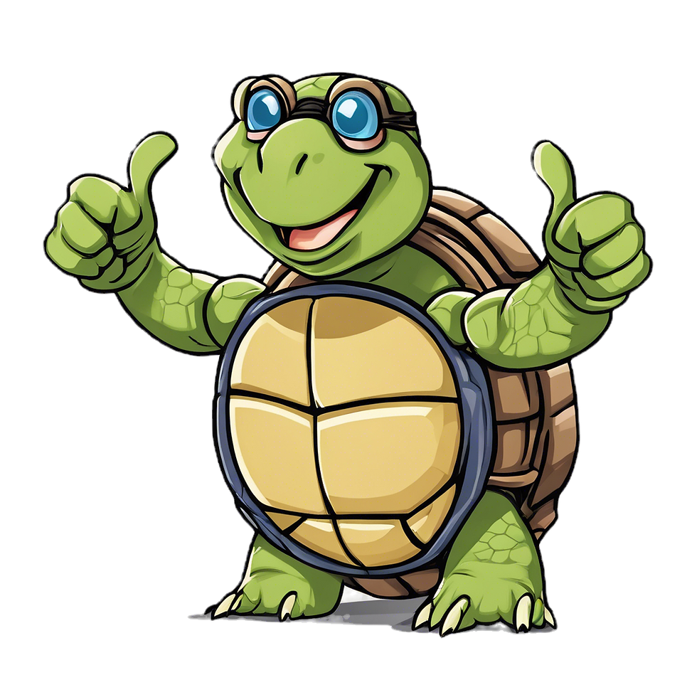 turtle thumbs up.png