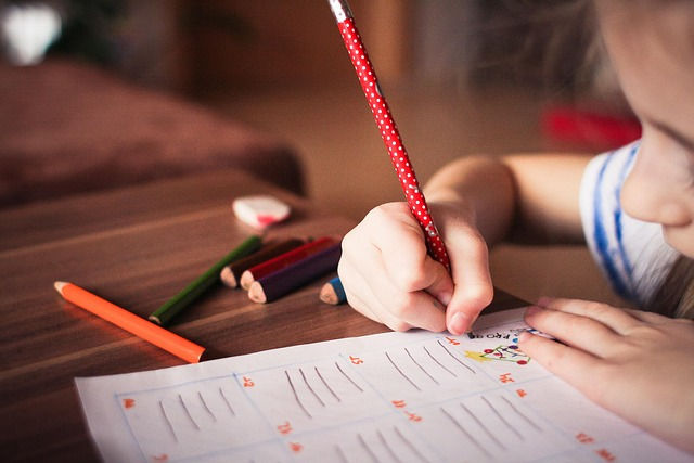 De quoi le cerveau de nos enfants a-t-il besoin pour apprendre ?