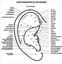 L'auriculothérapie et la réflexologie auriculaire pour des soins spécifiques