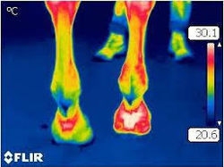 Flir on4