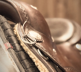 Image WhatsApp 2025-02-27 à 11h40_edited.jpg