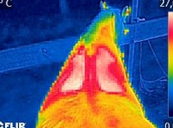 Flir on2