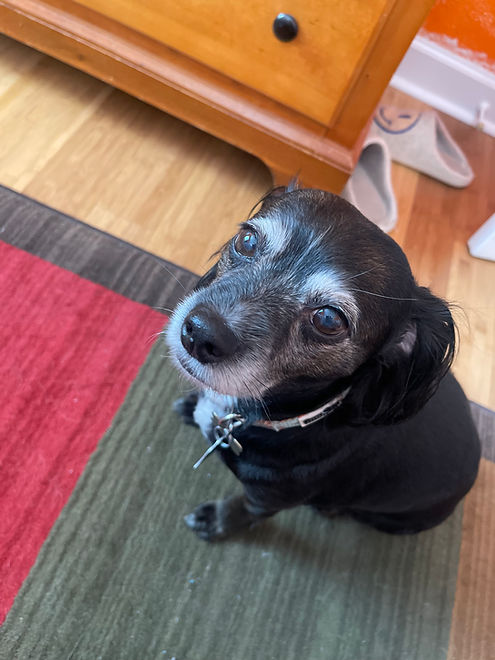 70532939991__2BA7B29A-9FD2-4CCD-9D67-C3E