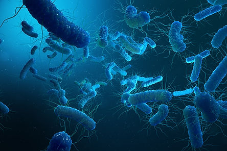 foto legionella.jpg