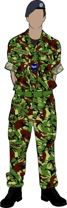 DPMs/MTP