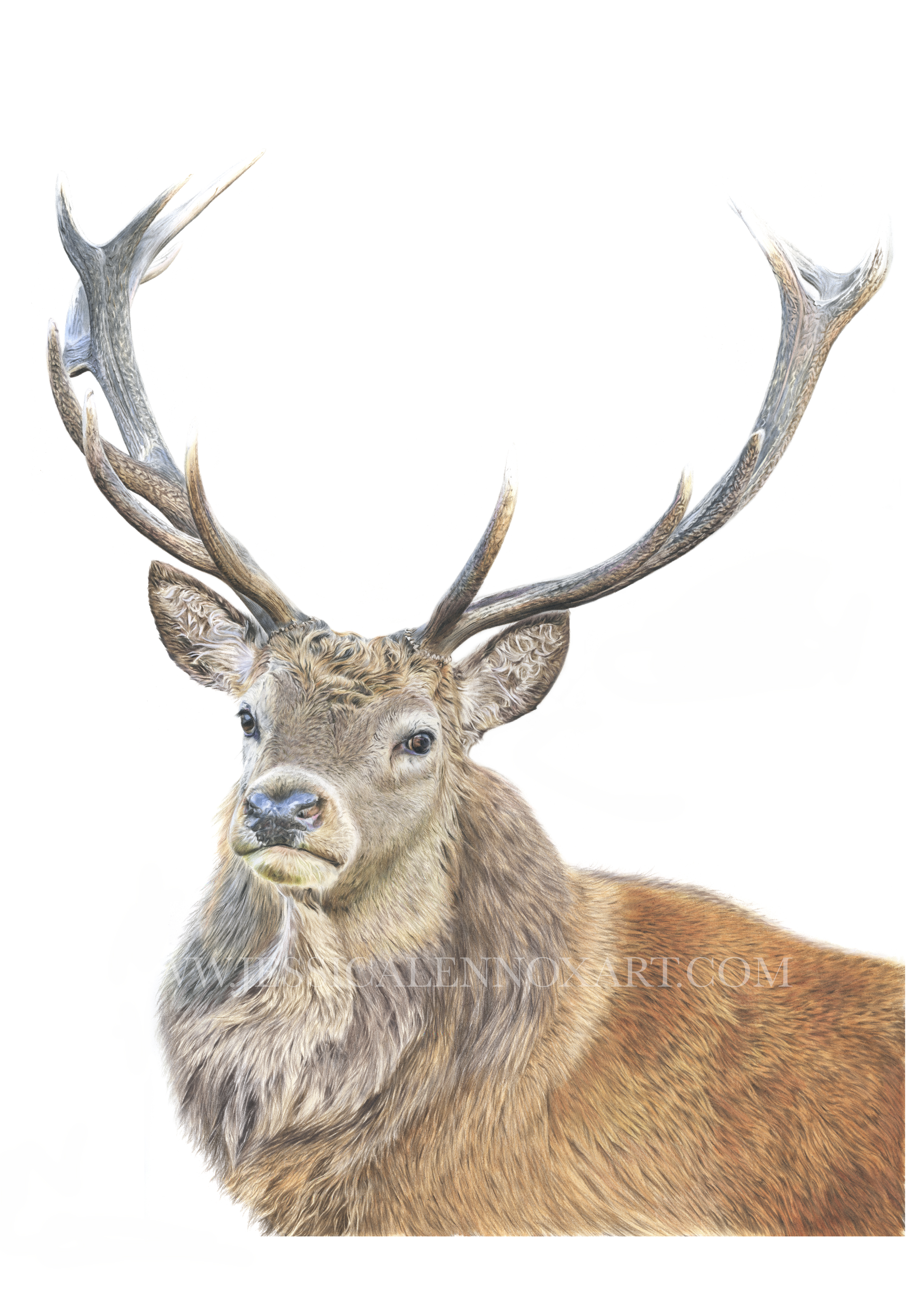 SOLD Red Deer