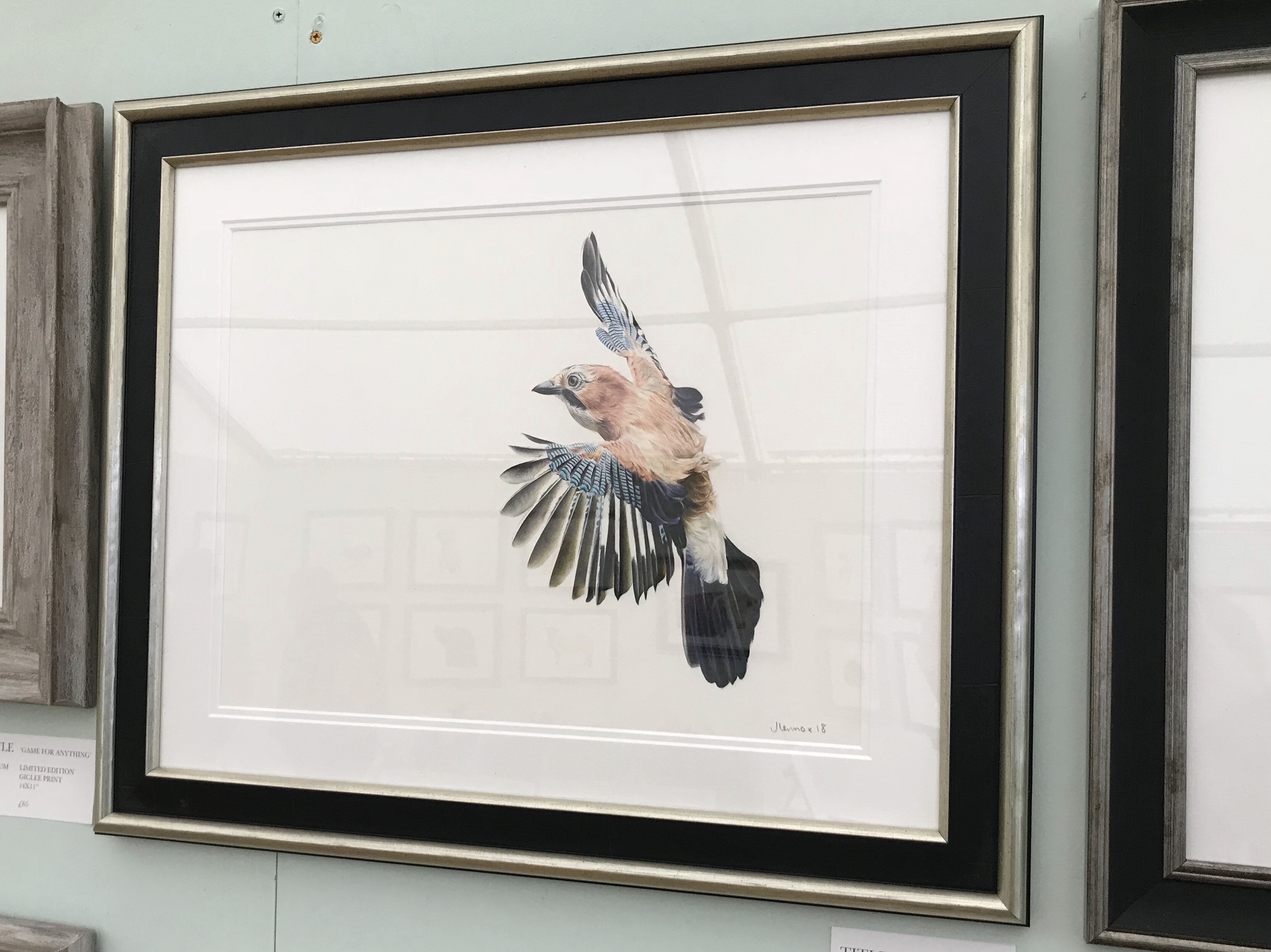 Jay Study £1600