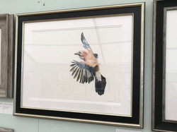 £1600 Jay Study