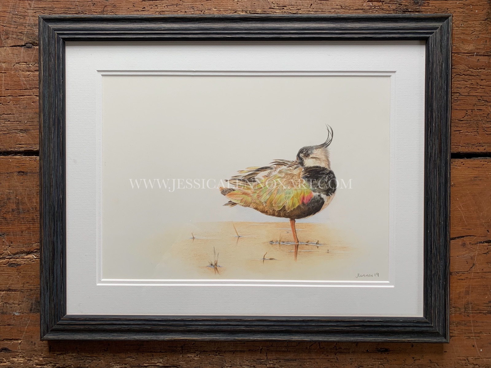 SOLD Lapwing Study