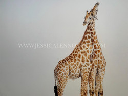 £7000 Higher Love