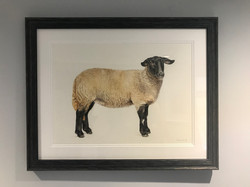SOLD Agatha