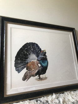 SOLD Highland Splendour