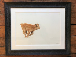 SOLD Ted