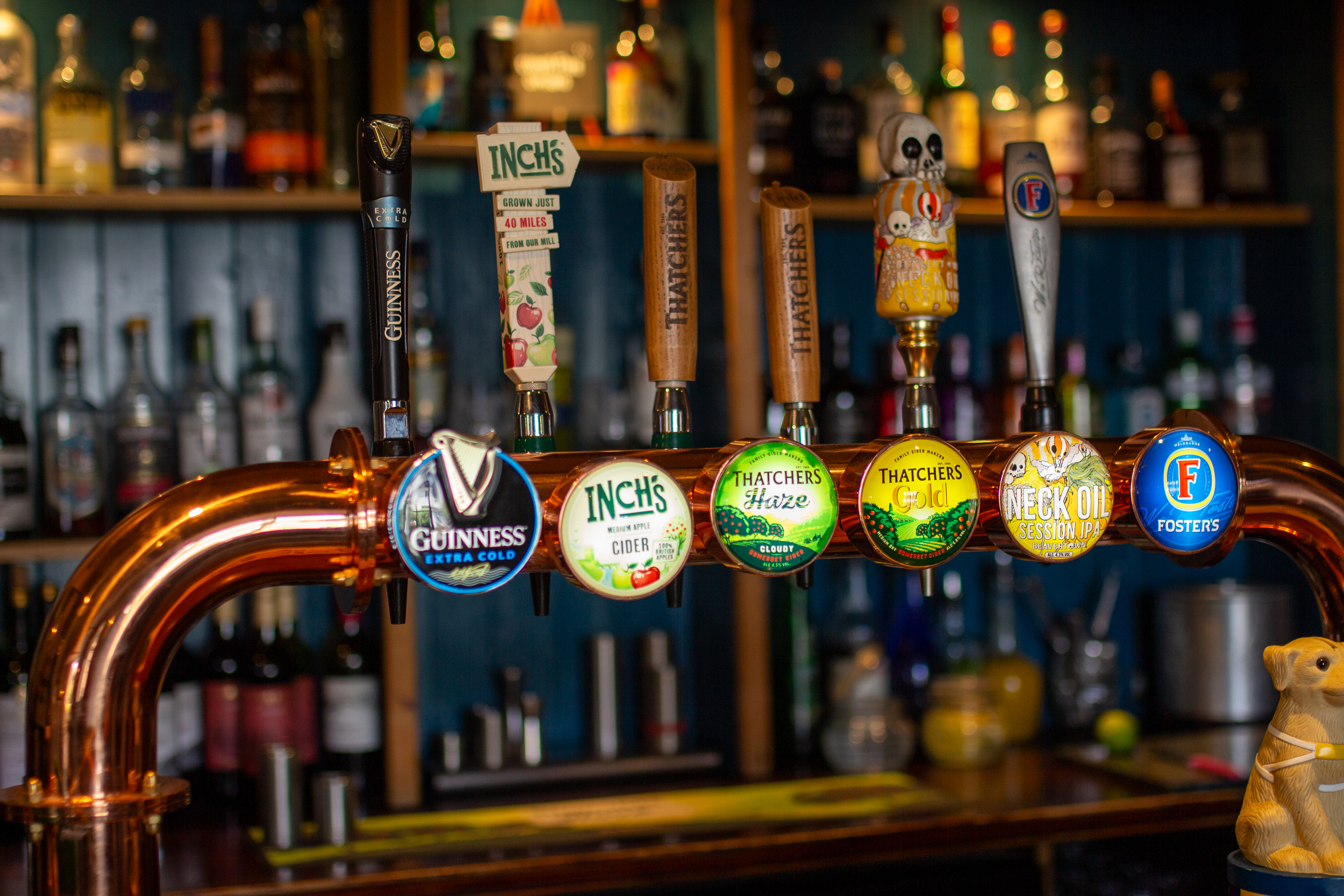 The Codrington Arms