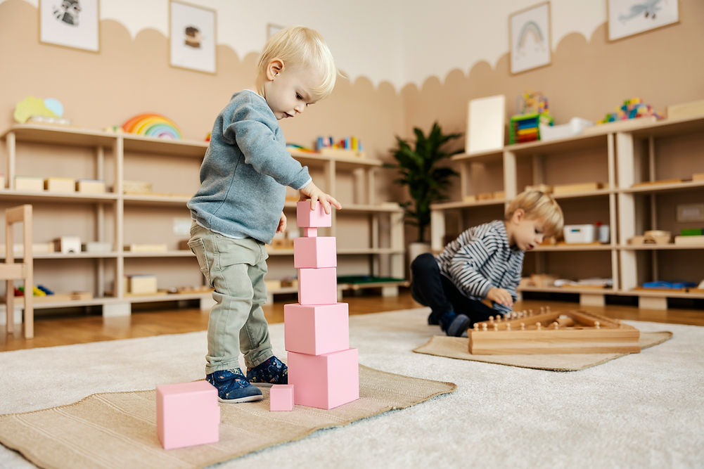 iStock-1464370706.jpg