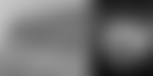 « Euphorie tropicale », une exposition hypersensorielle