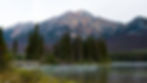 Jasper001.jpg