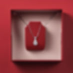 neckless in red box.jpg