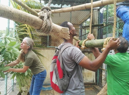 ALPZA sin fronteras: Taller de Cuidadores en Cuba