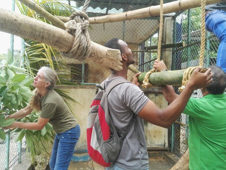 ALPZA sin fronteras: Taller de Cuidadores en Cuba