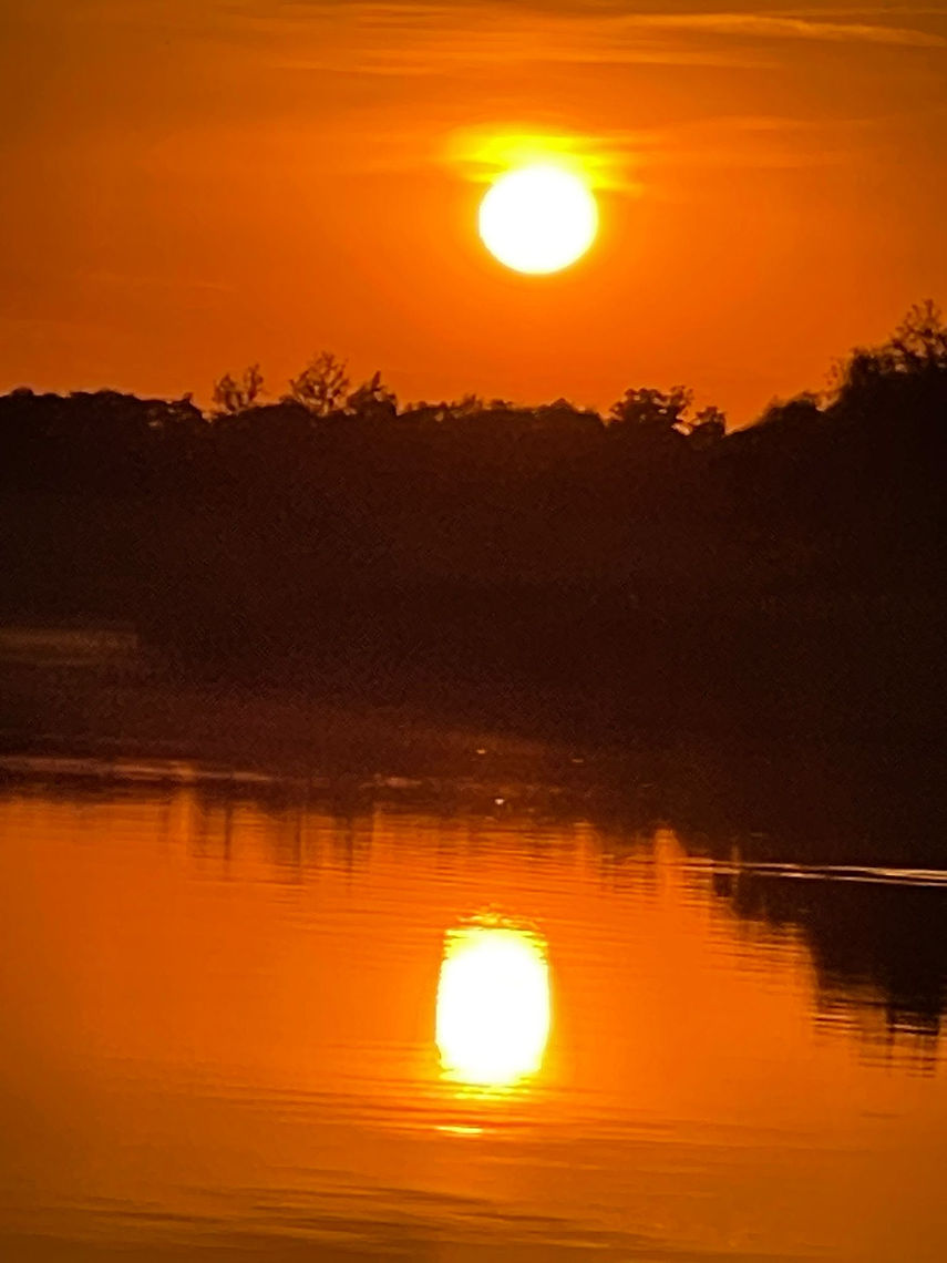 WhatsApp Image 2024-07-31 at 01.27.29.jpeg