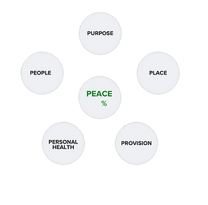 Peace Index Tool_edited.png