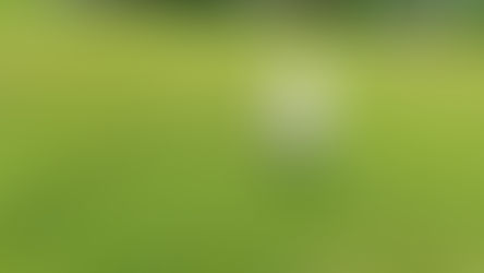 Playground Turf: Choosing the Best Artificial Grass for Kids