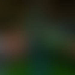 My First Story About Sara