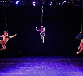 Why Do We Do Aerial?