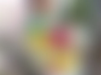 Colaboradoras da Flora Fogaça definem o que é ser mulher por elas mesmas