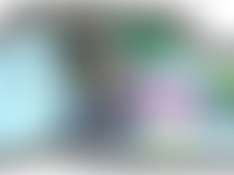 Santos Mirim participa de atividade pedagógica na Flora Fogaça