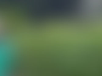 Flora Fogaça: Dia do Agricultor é celebrado como cada semente de uma flor