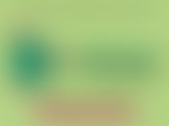 Flora Fogaça participa da Feira Impulsiona Ceará