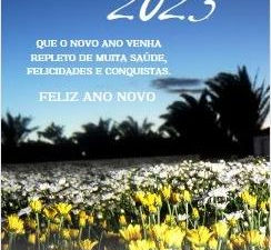 Flora Fogaça: Feliz 2003 porque seremos mais felizes em 2023