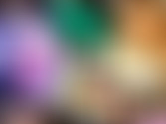 Flores e Mulheres: uma celebração da essência feminina na Flora Fogaça