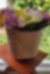 Arranjo 04