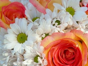 Setembro: a estação das flores e do coração na Flora Fogaça