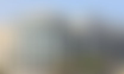 Deportation Excuse, Covid-19