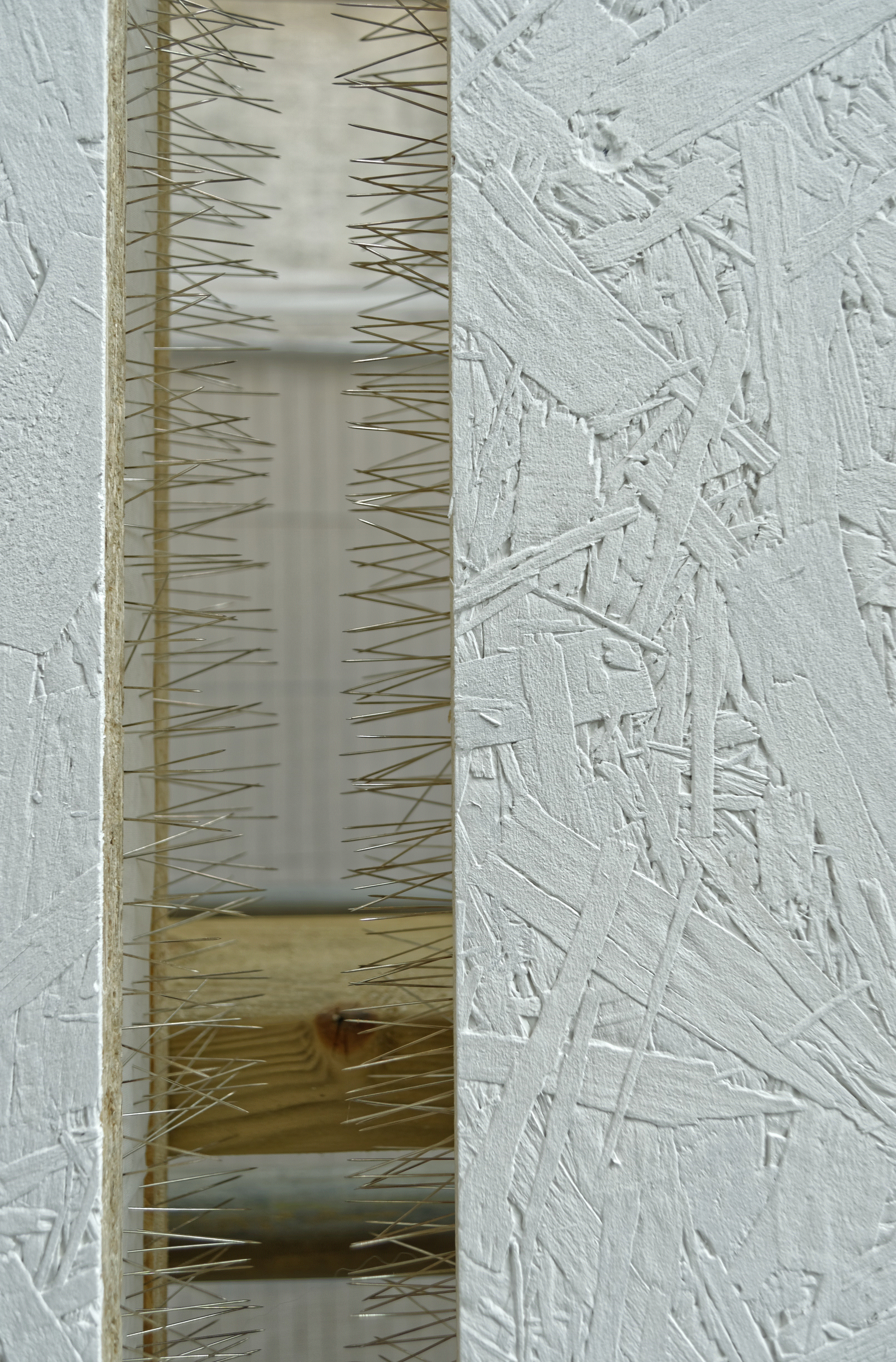 LANGUAGE 2 (Detail)