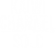 SOLO logo_White.png