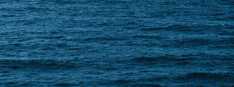 Untitled design (18)_edited.jpg