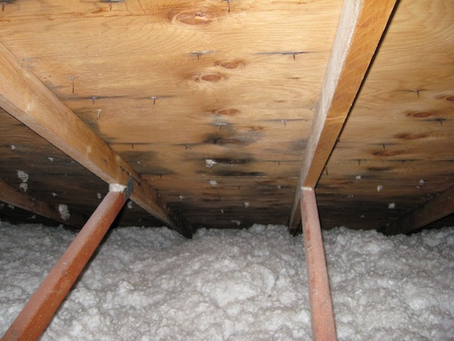 Roof Assessment 101