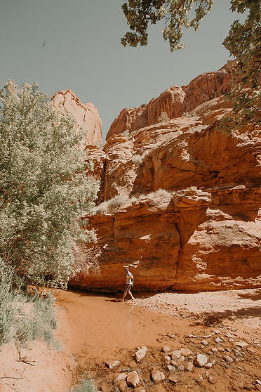 mill-creek-moab.jpg