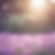 soft sunlight in light purple flowers field.jpg