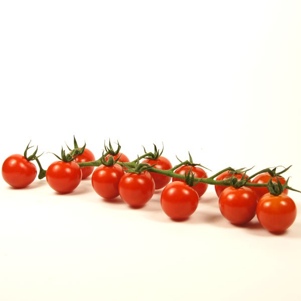TOMATE CERISE GRAPPE