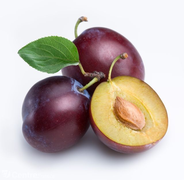 PRUNES